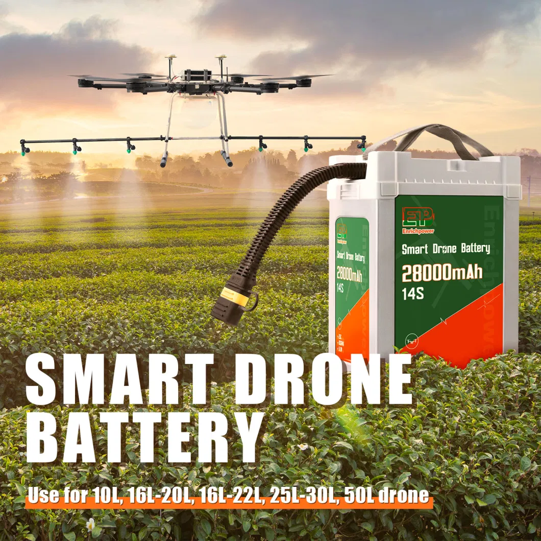 Προσαρμοσμένη μονάδα τροφοδοσίας drones 51.8V Battery Flight Drone AC-DC Module 2