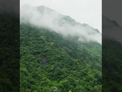 Συστήματα drone DJI FC30 FlyCart 30 κατασκευασμένα από MYUAV